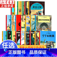 [任选5本]丁丁历险记大开本 [正版]丁丁历险记全套22册大开本漫画故事书图画书彩图16开 蓝莲花神秘的流星 一二三年级