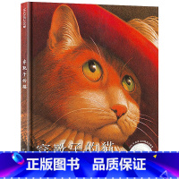 [正版]穿靴子的猫绘本 美国凯迪克奖精装硬壳 非注音版一年级阅读课外书必读麦克米伦绘本 幼儿园儿童早教睡前故事宝宝成长