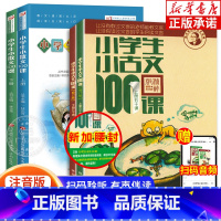 [新版含课程讲解]小学生小古文_小散文100课 上下4册 [正版]小学生小古文100课上下册朱文君 全套2册小古文100