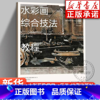 [正版]水彩画综合技法教程 陈海宁编著 实战教学水彩画举一反三 综合技法实践应用创作实践案例解析 水彩画风景美术入门