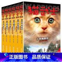 猫武士首部曲[全6册] [正版]猫武士全套42册第一二三四五六8部曲猫武士七部曲后三本 呼唤野性寒冰烈火 6-12岁小学