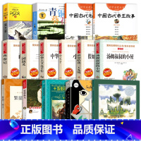 [全15册]6年级必读经典书目 [正版]六年级课外书必读经典书目全15册 中国古代名士帝王故事十五岁的小船长青铜葵花 西