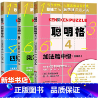 [正版]聪明格中级篇 全套3册 加法乘法四则运算益智游戏肯肯数独 6-10岁儿童思维训练工具书 小学数学速算趣味练习