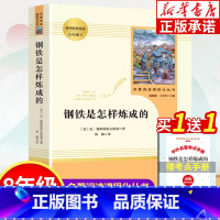 钢铁是怎样炼成的 [正版]钢铁是怎样炼成的 八年级下册必读名著阅读课程化丛书 人教版初中语文原著书完整版 人民教育出版社