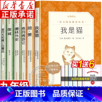 [全6册]九年级下册书目 [正版]赠考点简爱和儒林外史九年级老师必读 人民文学出版社 语文九年级下册全套围城钱钟书格列佛