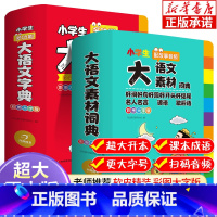 大语文素材词典+多功能大语文字典 全2册 小学通用 [正版]新版大语文素材词典+多功能大语文字典 全2册 彩图大字版 中