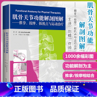 [正版]肌骨关节功能解剖图解 推拿 按摩 扳机点运动治疗刘楠 编解剖学基础肌骨触诊与扳机点筋膜手法治疗整脊技术书籍