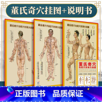 [正版]3张 董氏奇穴与经穴对照大挂图 可搭配邱雅昌杨维杰董氏奇穴实用手册原理结构穴位诠解治疗析要等书籍中医中国医药科