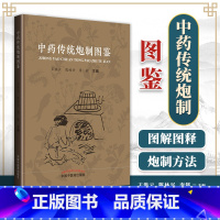 [正版] 中药传统炮制图鉴 王洪云陈林兴李铭主编中国中医药出版社中药炮制入门自学书籍中医药书籍中药图谱可搭中药鉴定中药