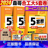 余丙森合工大五套+李永乐6套 数学一 [正版]合工大5套卷 合工大共创超越2024考研数学2024余丙森5套卷数