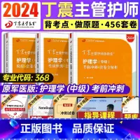 [正版]丁震主管护师中级2024年护理学丁震456主管护师中级护理学2024历年真题试卷题库模拟卷护师备考2024护师