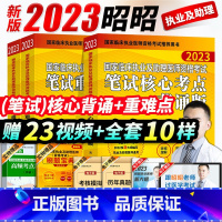 [正版]赠2023视频网课 昭昭医考执业医师2023年临床执业及助理医师资格考试笔试核心考点背诵版+笔试重难点精析执医