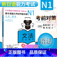 [正版] N1新日语能力考试考前对策 N1语法 新日语能力考试N1语法 N1能力考试 日语语法 日语N1核心考点语法