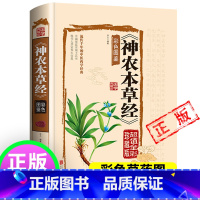 [正版]神农本草经+彩色草药图珍藏彩图鉴中国医学巨著中医基础理论中药学中草药图谱大全书药物医学书籍处方中药养生书籍神龙