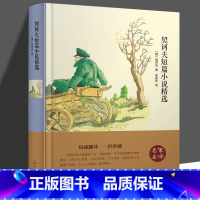 精装契诃夫短篇小说精选 [正版]契诃夫短篇小说选精装版契科夫集文集套中人变色龙经典世界文学名著小说故事 初中高中学生课外