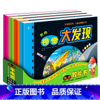 视觉大发现4册 [正版]视觉大发现小手电大探秘系列手电筒照书 电筒大揭秘 我的第一次发现神奇胶片书 儿童全景视觉视觉大发