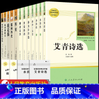 [人教版12册]九年级上下册必读 [正版]艾青诗选和水浒传 原著完整版人民教育出版社九年级阅读名著人教版初中生全套配套