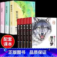 [全套8册]冰心三部曲+沈石溪狼王梦 [正版]全套3册 冰心儿童文学全集寄小读者繁星春水 小桔灯橘学生课外书阅读书籍阅读