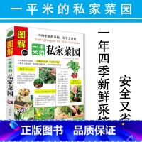 [正版]图解一平米的私家菜园种植书籍蔬菜种植技术大全在阳台上种菜种菜书家庭小菜园 园丁的一年零基础新手入门书籍植物图解