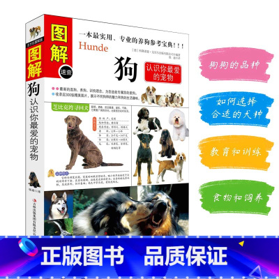 [正版]图解狗认识你爱的宠物养狗书籍名犬宠物书籍狗品种大全关于狗狗的书训犬书籍宠物书狗书养狗知识狗狗大全狗书籍养狗手册