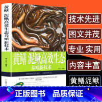 [正版]黄鳝泥鳅高效生态养殖新技术鳝鱼繁殖科学饲养管理技术饲料配方大全疾病快速鉴别诊断图谱治疗鳝鱼水产养殖健康养殖技术