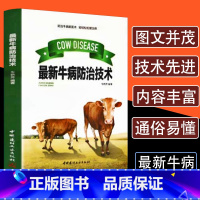 [正版]牛病防治技术养牛书籍大全肉牛养殖技术牛病鉴别诊断图谱诊断及治疗全书畜牧兽医专业书籍繁殖母牛科学饲养管理实用手册