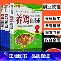 [正版]全3册高效养鸡系列养鸡书籍大全技术书常见病防治实用手册鸡饲料科学配制与应用饲料配方大全养鸡新技术畜牧养殖鸡病鉴