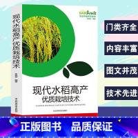 [正版]现代水稻高产优质栽培技术农业种植系列读物农业种植技术大全书水稻种植水稻种植基础知识育秧田间管理生产选育病虫害、