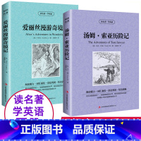 [正版]全2册爱丽丝漫游奇境记汤姆索亚历险记经典文学名著中英文对照双语读物英文原著中文版英汉互译名作欣赏初中生青少年课