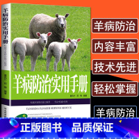 [正版]羊病防治实用手册羊病基础知识治疗全书兽医实用手册科学生态养羊技术书籍大全羊病快速诊断防治营养需要小尾寒波尔山羊