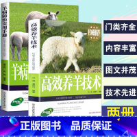 [正版]2册养羊技术书籍 大全高效养羊+羊病防治实用手册综合治疗全书快速诊治畜牧兽医专业养殖书籍大全基础知识科学生态饲