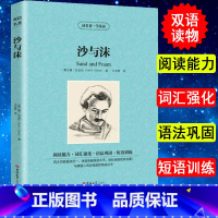 [正版]沙与沫 读名著学英语 纪伯伦散文诗 先知.沙与沫纪伯伦诗集 外国名著小说 双语版 中英文对照书籍双语读物 当代