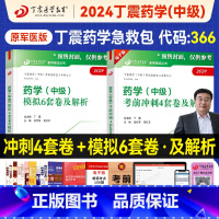 [正版]丁震医学2024备考主管药师考前冲刺4套卷模拟6套卷全套药学中级卫生资格考试历年真题模拟试卷同步练习题药学考试