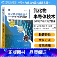 [正版]氮化物半导体技术 功率电子和光电子器件 [意]法布里齐奥等 GaN基材料 发光二极管 激光二极管 垂直腔面发射