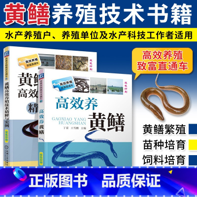 [正版]高效养黄鳝高效养殖技术精解与实例黄鳝养殖技术大全水产养殖书鳝鱼病害防治技术养黄鳝技术大全养黄鳝技术养殖书籍大全