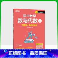 初中数学]数与代数 1 初中通用 [正版]高效训练初中数学 七年级八年级九年级中考数学刷题同步代数几何统计辅导资料中考提