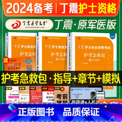 [正版]丁震医学教育2024年备考护士执业资格考试应试指导同步章节练习模拟试卷全套护考资料急救包护资考试练习题集历年真