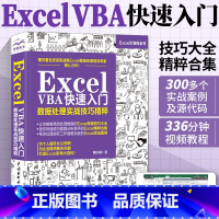 [正版]Excel VBA快速从入门到精通数据处理与分析实战技巧精粹 excelvba编程教程书籍代码大全 高效办公w