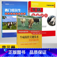 [正版]全3册西门塔尔牛高效养殖实用技术+牛病防控关键技术有问必答+牛病快速诊治实操图解 养牛技术书籍大全牛病类症鉴别