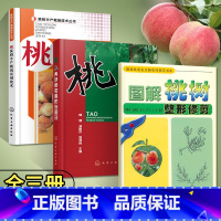 [正版]桃树栽培技术+图说桃典型病虫害防治+桃树修剪书籍果树种植栽培技术书桃树管理技术书桃树种植技术大全书果树合理