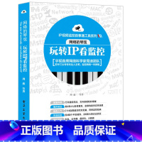 [正版]网络的琴弦 玩转IP看监控 IP监控技术从入门到精通 视频监控系统应用 智能网络视频监控技术详解 监控知识点解