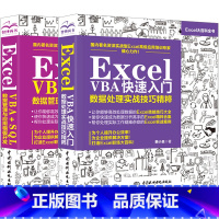 [正版]ExcelVBA+vba SQL数据管理与应用模板开发快速入门数据处理实战技巧精粹函数公式大全教程书籍自学全套