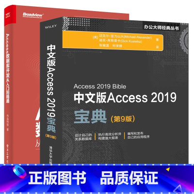 [正版]中文版Access 2019宝典第9版+Access数据库开发从入门到精通 全2册 Access开发数据库系统