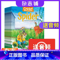 [正版]蟋蟀童书Spider红蜘蛛杂志 2024年1月起订 共9期 杂志铺 6-9岁儿童文学书籍原版英语期刊全年订阅