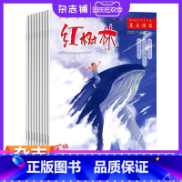 [正版]红树林科普少年杂志 2024年1月起订 1年共12期 杂志铺 学生课外活动游乐园 中小学生阅读学习成长心理等全