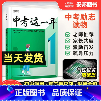 中考这一年第2辑 初中通用 [正版]2023这一年青春励志读物中学生阅读书籍初三复习资料适读青少年成长故事初中必读课外阅