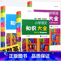 [全3册]知识大全 [正版]小学语文知识大全人教版全国通用 小学生一二三四五六年级语文基础知识手册重点集锦词语小升初大集