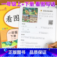 [正版]看图写话一年级上册下册全套注音人教版 小学1年级看图说话写话训练入门语文同步练习册题作业本专项天天练教辅导书资