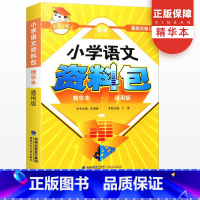 [正版]小考小学语文资料包精华本三四五六年级小升初语文知识大集结名校冲刺知识大全小学毕业系统总复习小考复习资料题真题