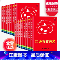 [全套15册] 初中通用 [正版]小红书初中全套七八九年级基础知识汇总小册子随身口袋书语文数学英语物理化学政治历史生物地